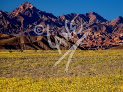CALIFORNIA Death Valley